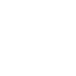 トライアルエクスペリエンス